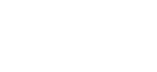 ServerGurus